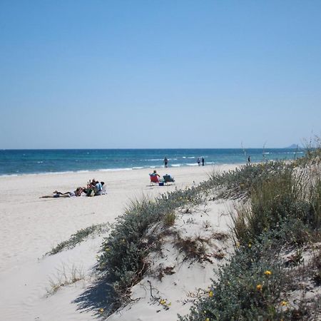 Higuericas 411 - Planta Baja - Vista Piscina - Cerca Playa Lägenhet Pilar de la Horadada Exteriör bild